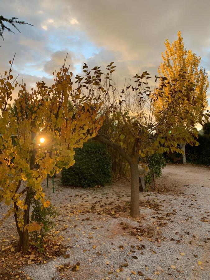 Cabanas Cortijo El Helao Pozo Alcon Bagian luar foto