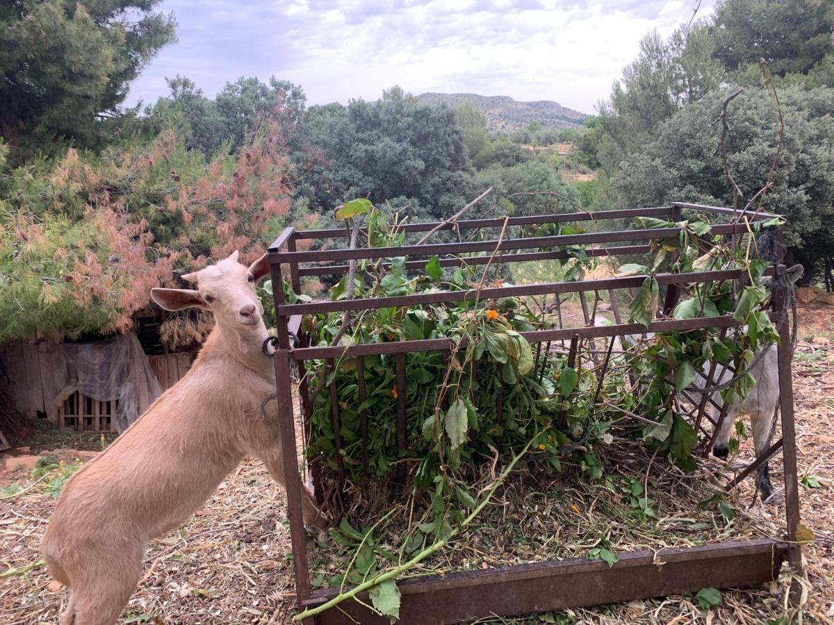 Cabanas Cortijo El Helao Pozo Alcon Bagian luar foto