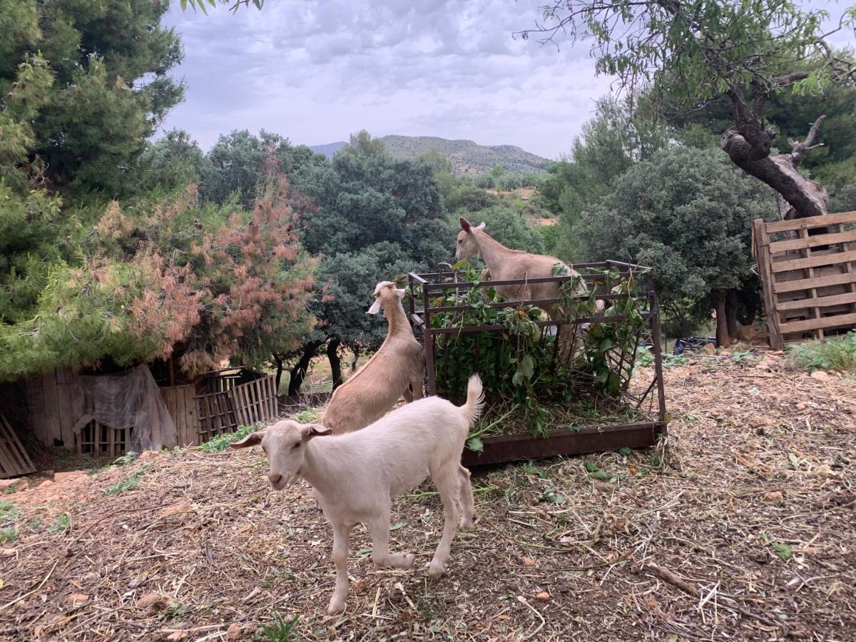 Cabanas Cortijo El Helao Pozo Alcon Bagian luar foto
